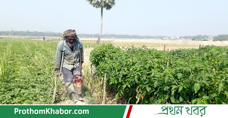 Farmar-Krishi-Krishok-BangladeshNews-BanglaNews-ProthomKhabor-ProthomKhobor-PrathamKhabar.jpg